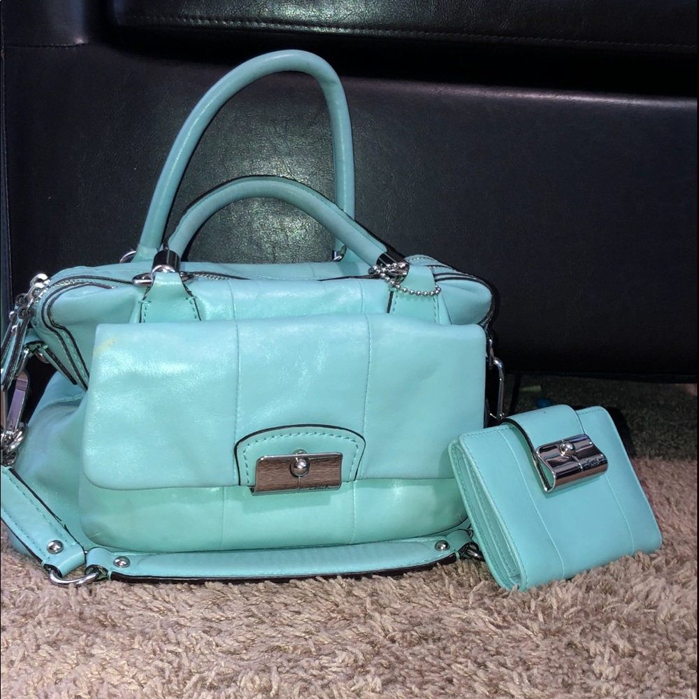 Bags/Purses